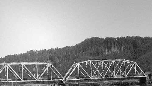 2955409929_25419eac84